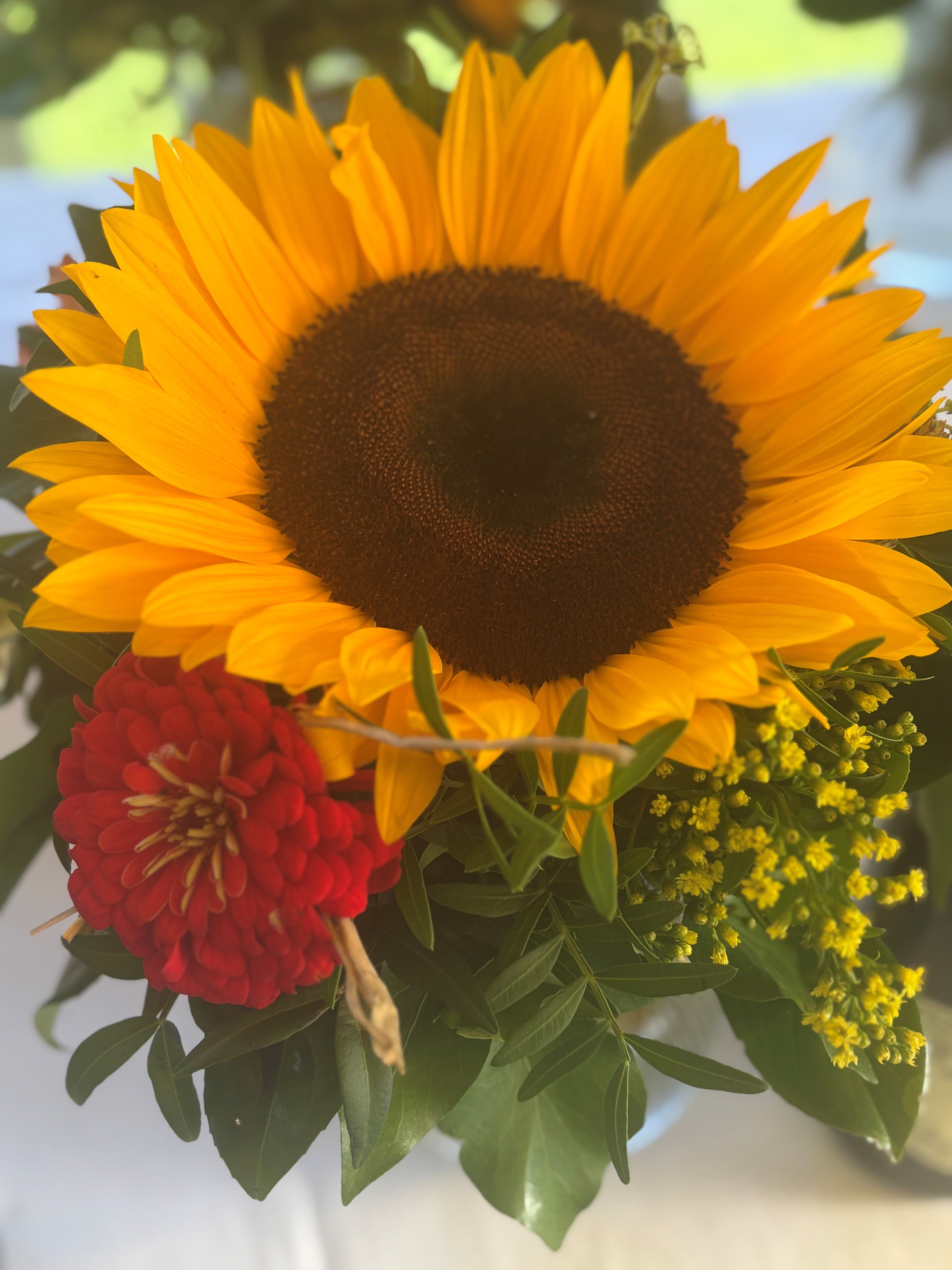 Blume
