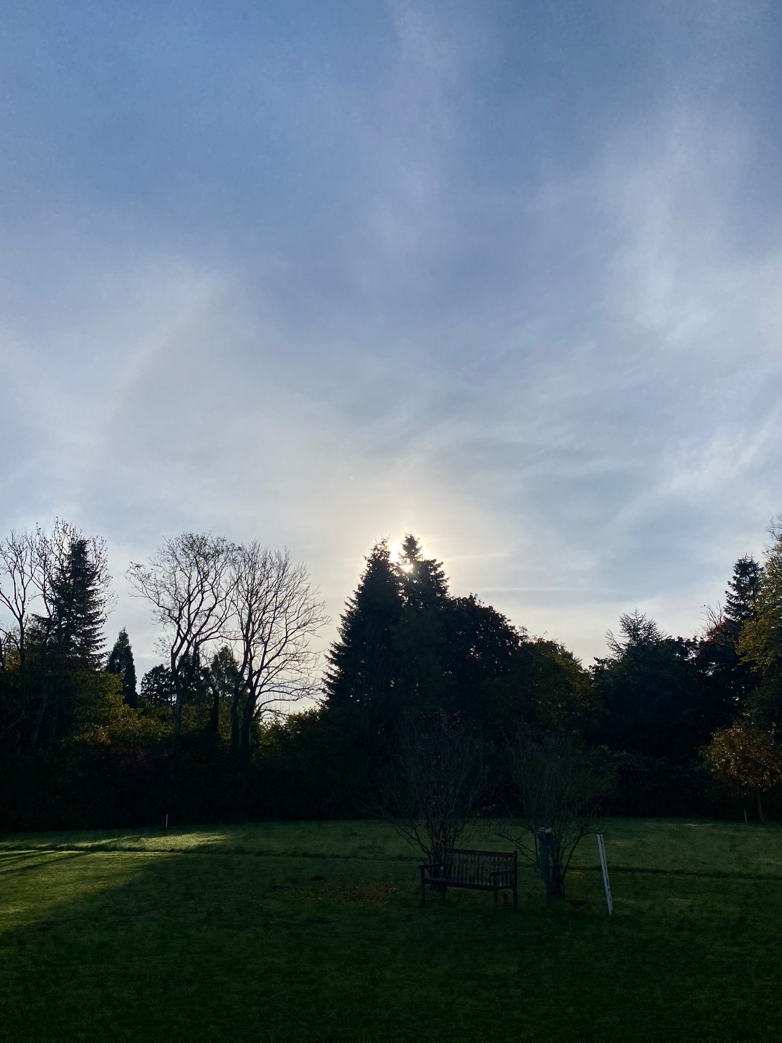 Sonne%204